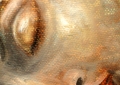 Untitled Reclining Buddha